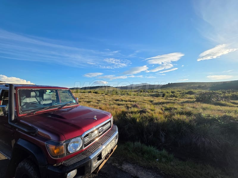 Toyota Land Cruiser, 2 of 4